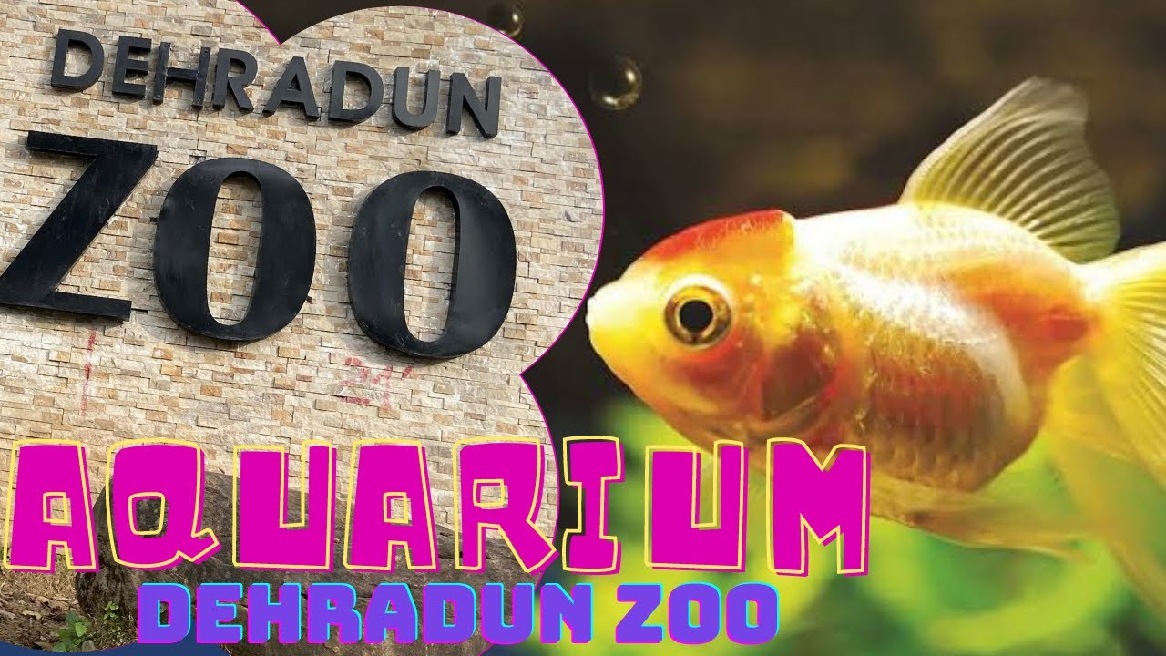 Dehradun zoo Aquarium | Malsi deer park 2022