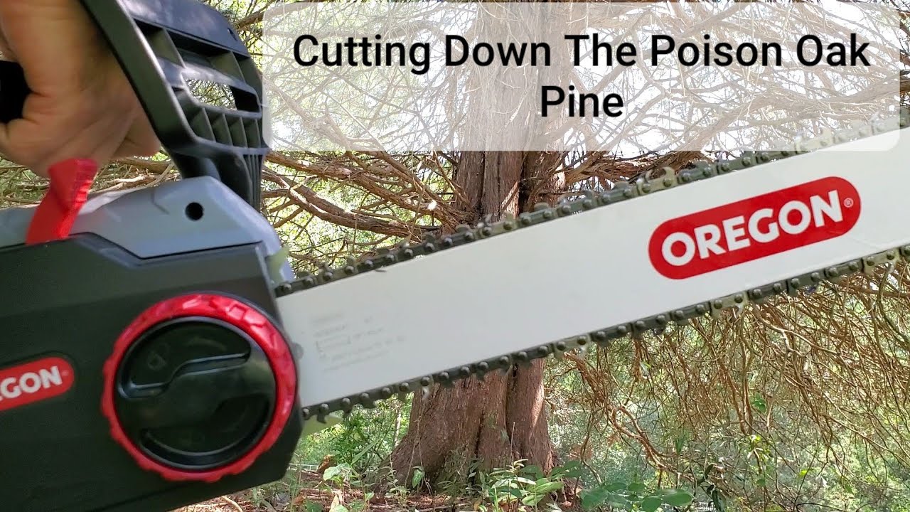 Oregon CS1500 Cutting Down The Dead Pine