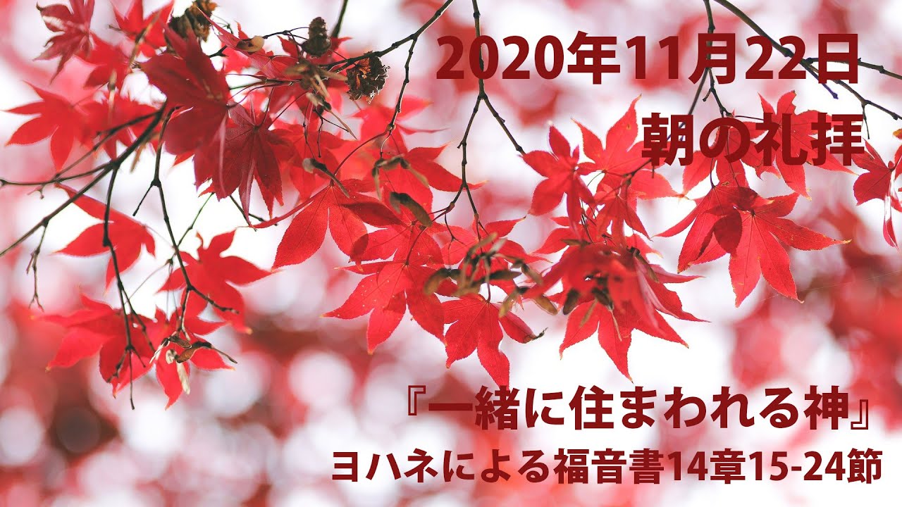 『一緒に住まわれる主』ヨハネによる福音書14章15-24節～2020年11月22日朝の礼拝より　大場康司牧師