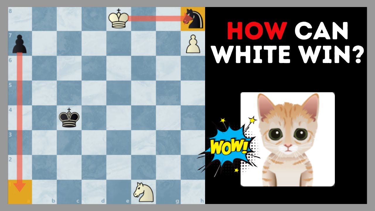 Impress MITTENS With This Chess Problem