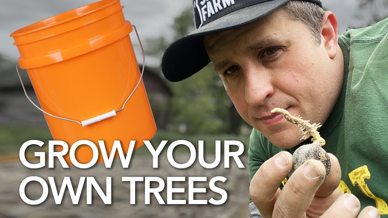 Growing Trees is the Ultimate Side Hustle