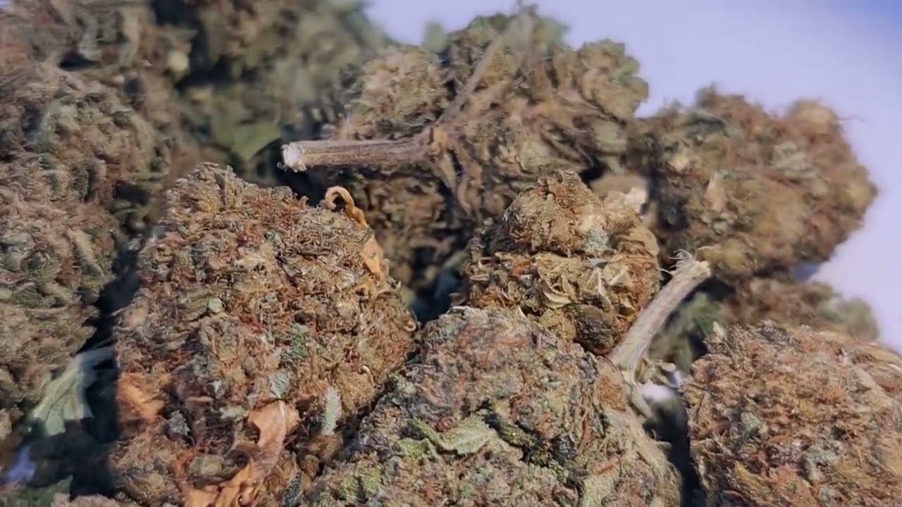 CBD Bl&uuml;ten Mix Schweiz / EU Aktion - vaporspirit.ch