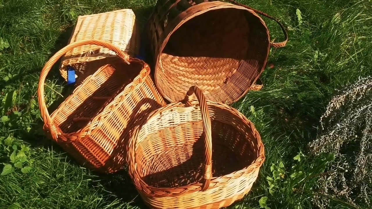 Dlaczego nie idzie się na grzyby do jaworowego lasu i jaki jest najlepszy kosz na grzybobranie?
