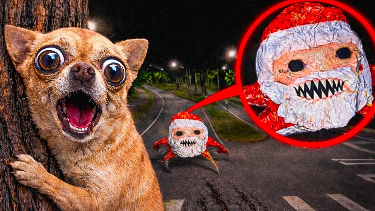 GOO GOO GAGA IS CHASING OUR DOG!! 😱