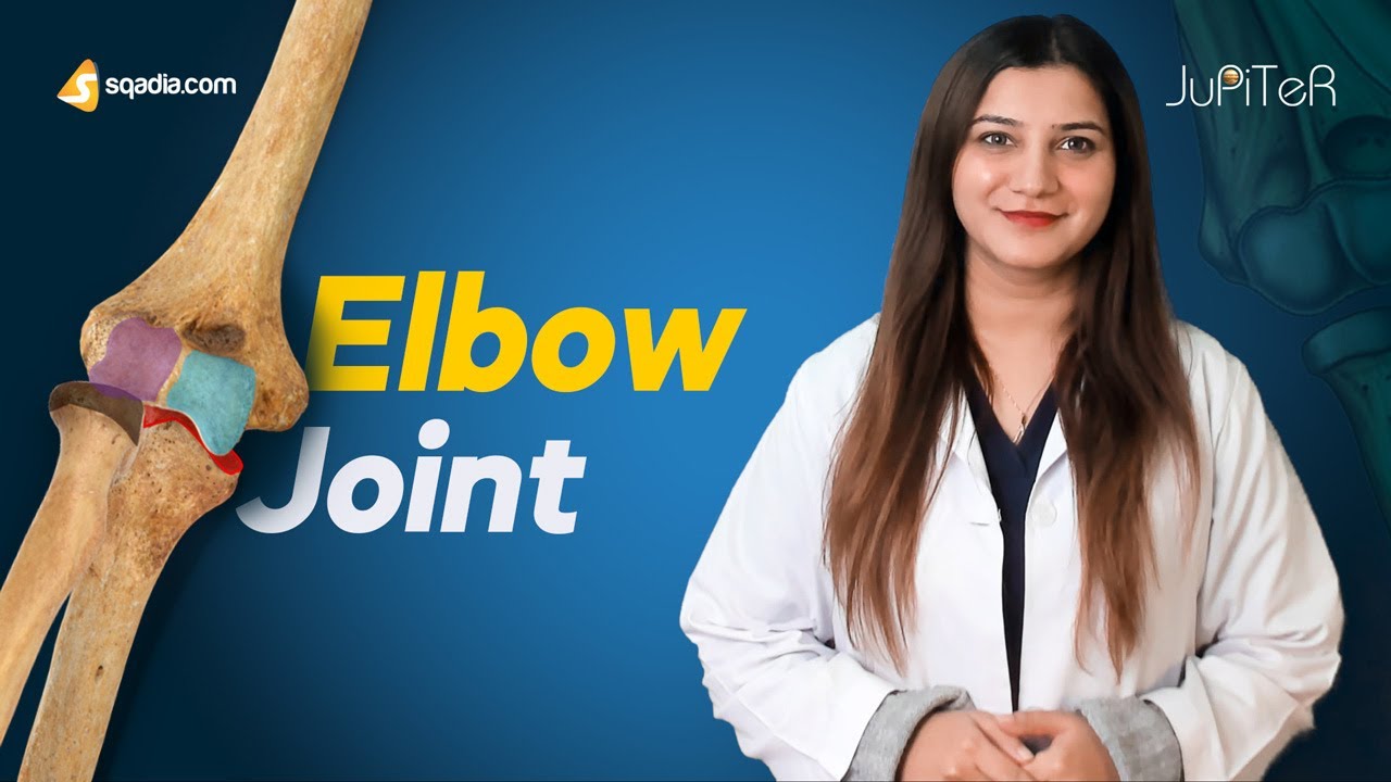 Elbow Joint | Introduction | Bone, Ligaments and Muscles Anatomy Made Easy for Medical Students
