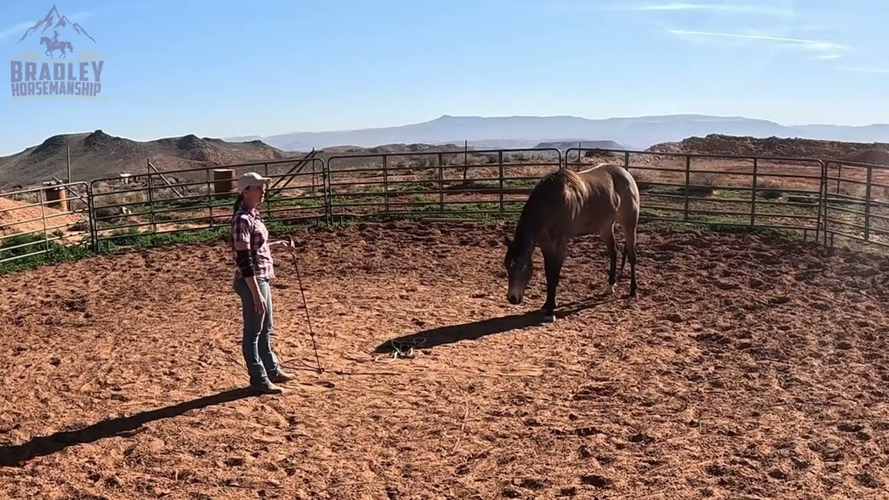 Round Pen Principles - How important is your leadership?