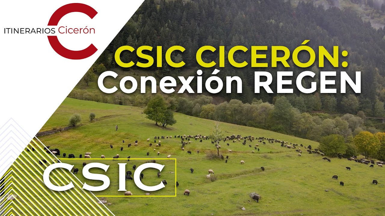 CSIC Cicerón Conexión REGEN: Recursos genéticos para la agricultura y la alimentación