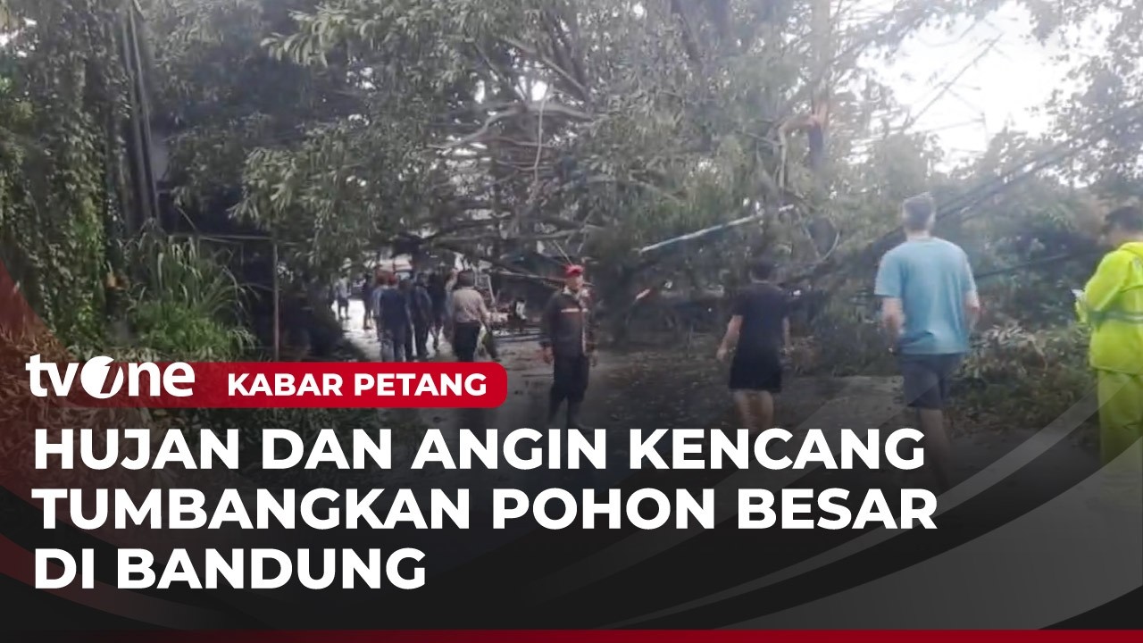 Bandung Diterpa Cuaca Ekstrem, Pohon Tumbang Warga Diminta Waspada | Kabar Petang