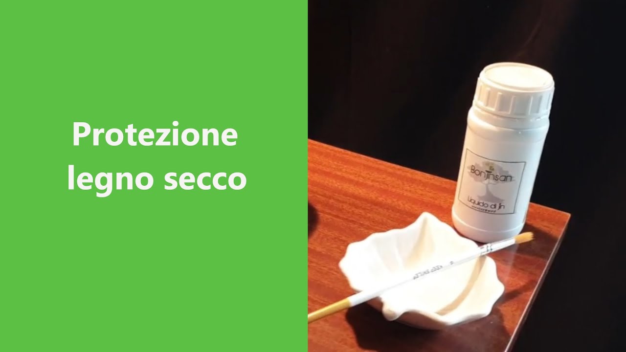 Preservare il legno secco dei nostri bonsai.  Applicazione del liquido jin.