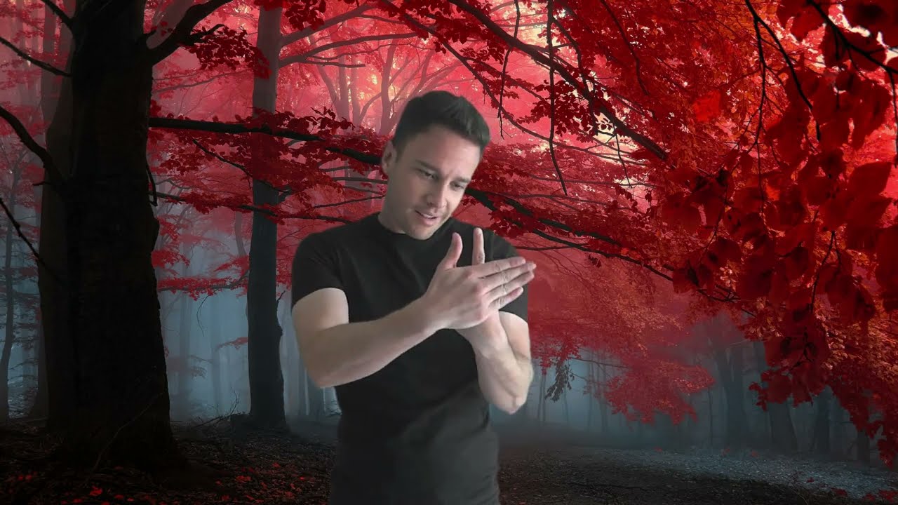 NO MEU CORAÇÃO VOCÊ VAI SEMPRE ESTAR - ED MOTTA - TARZAN (LIBRAS)