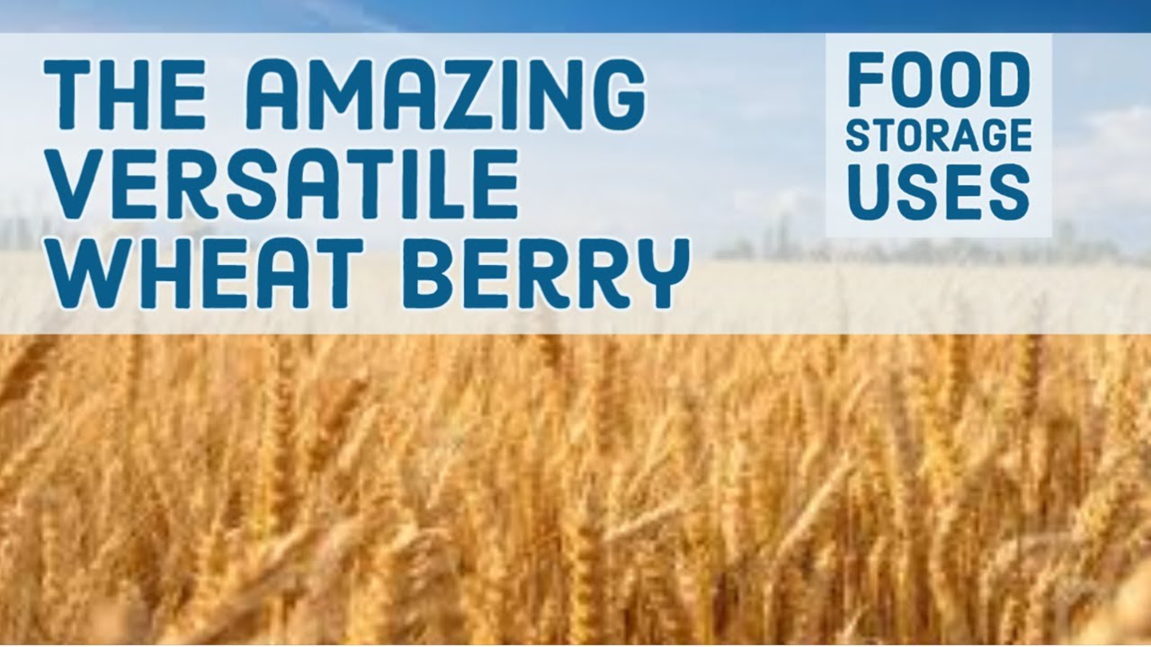 Food Storage: The Amazing Versatile Wheat Berry