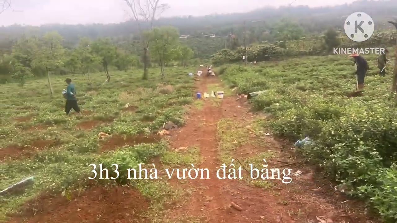 3h3 nhà vườn đẹp gia rẻ 0977956197