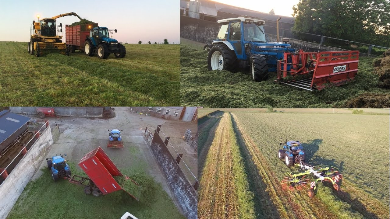 Joe Black Agri Contracts | At Grass | May 2018