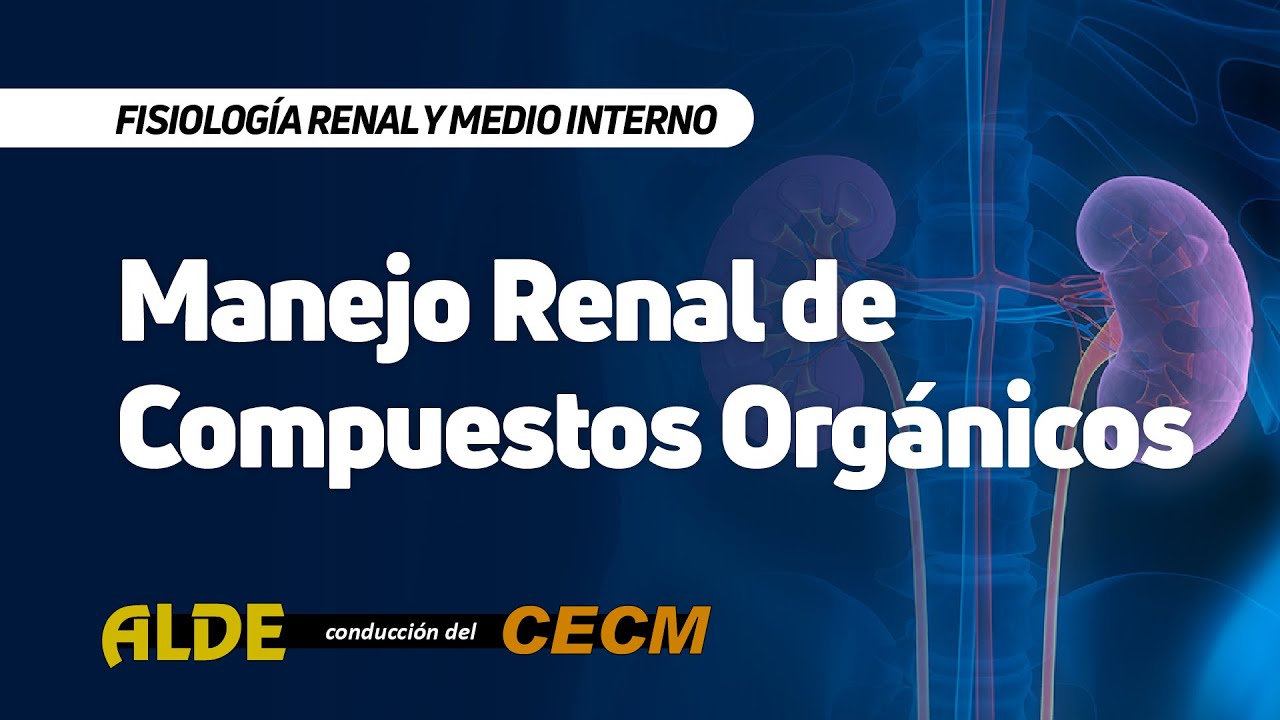Curso Fisiología Renal y Medio Interno - Manejo Renal de Compuestos Orgánicos