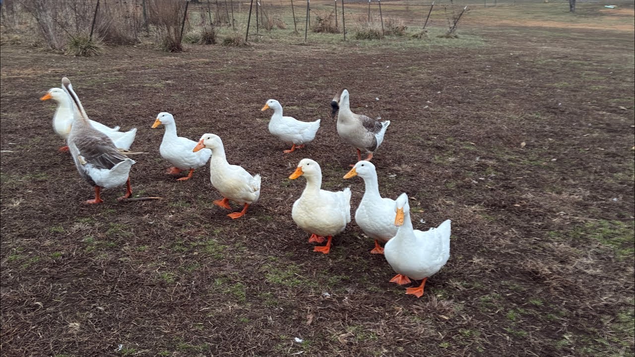 Feeding Time! 