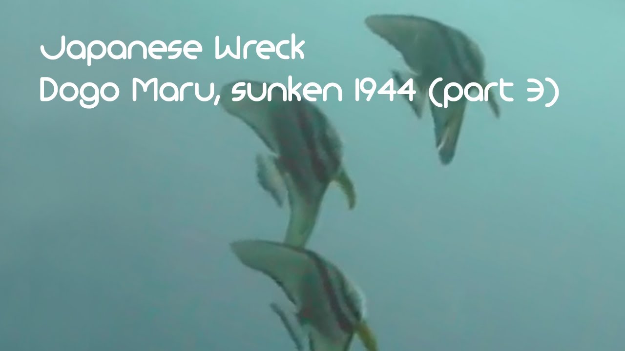 Scuba Diving at Japanese Wreck Dogo Maru, sunken 1944 at Logbon, Romblon, Philippines (part 3)