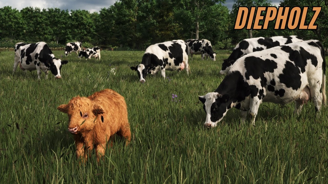 Die ERSTEN Hochland Kälber sind DA!🚜 Auf der Suche nach Wasser!! | DIEPHOLZ #8 | LS25 Gameplay
