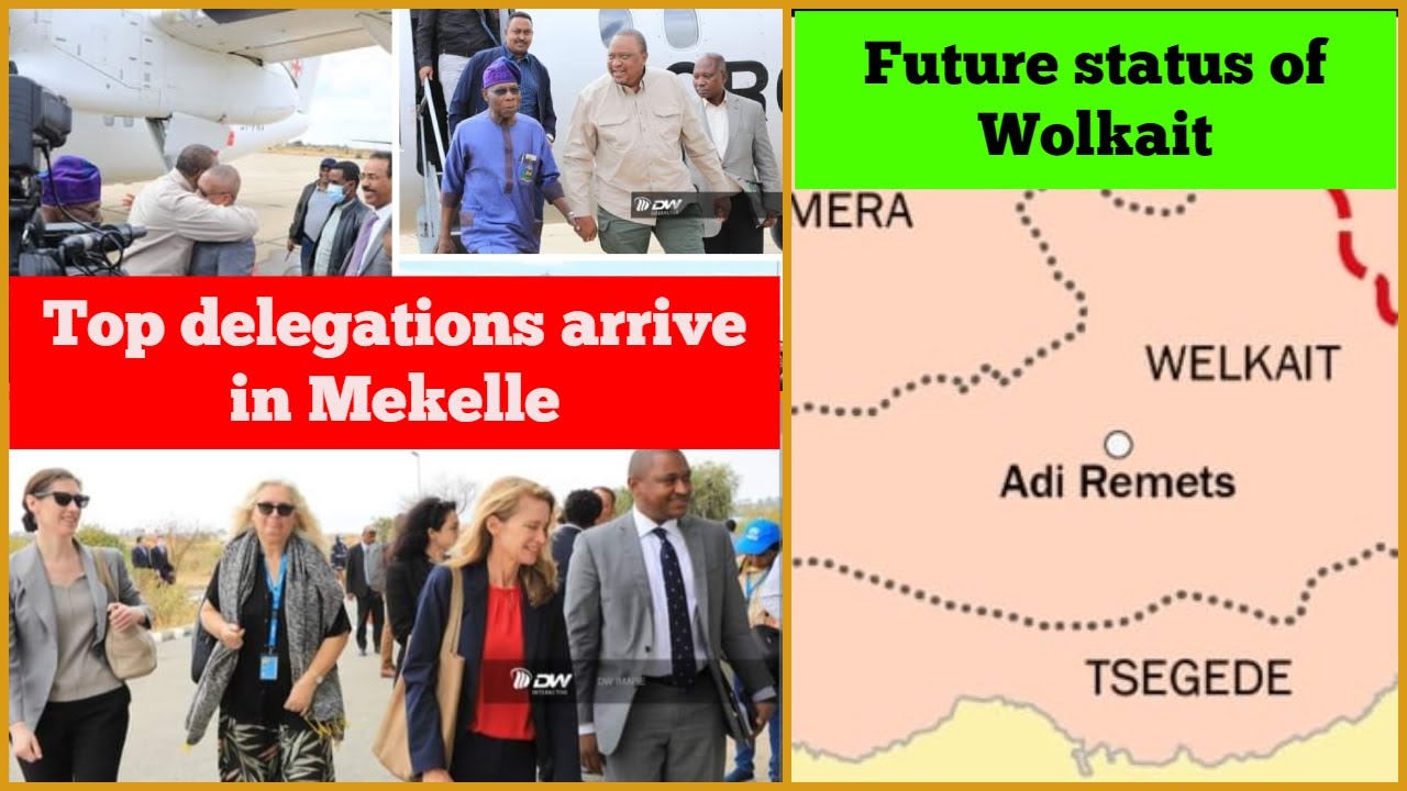 Top international delegations arrive in Mekelle | Future status of Wolkait