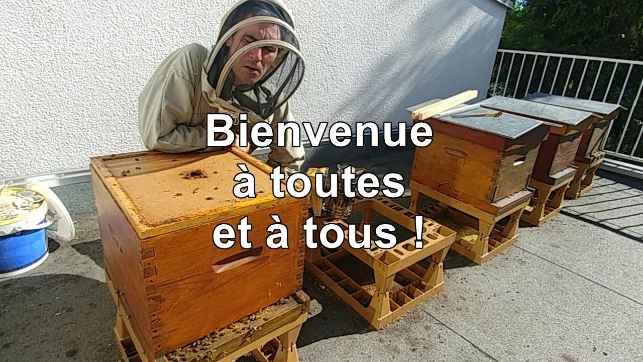 Tome 20 - 3 – Résultat de la réunion de 2 colonies – PARTIE 3 sur 3.