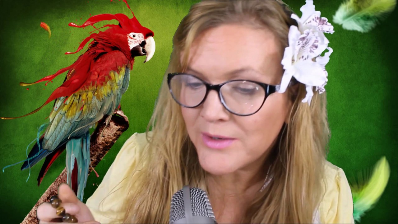 ASMR: Kanavani esittely ja suunnitelmat (FIN) (15.10.2016)