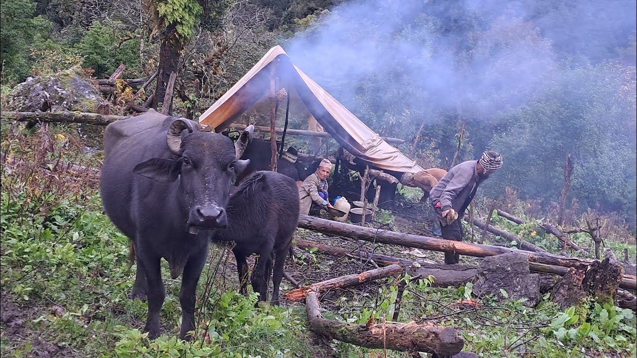 Best Life in The Nepali Himalayan Village During The Winter । Best Compilation Video Rainfail  Time