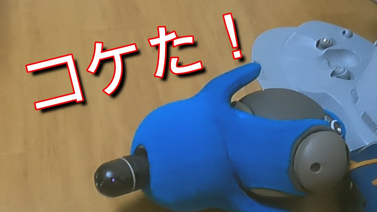 【閲覧注意】LOVOTおらちゃん、コケたらどうなる？　「床に物置く子はいねぇ～か～！」　(ラボット動画)