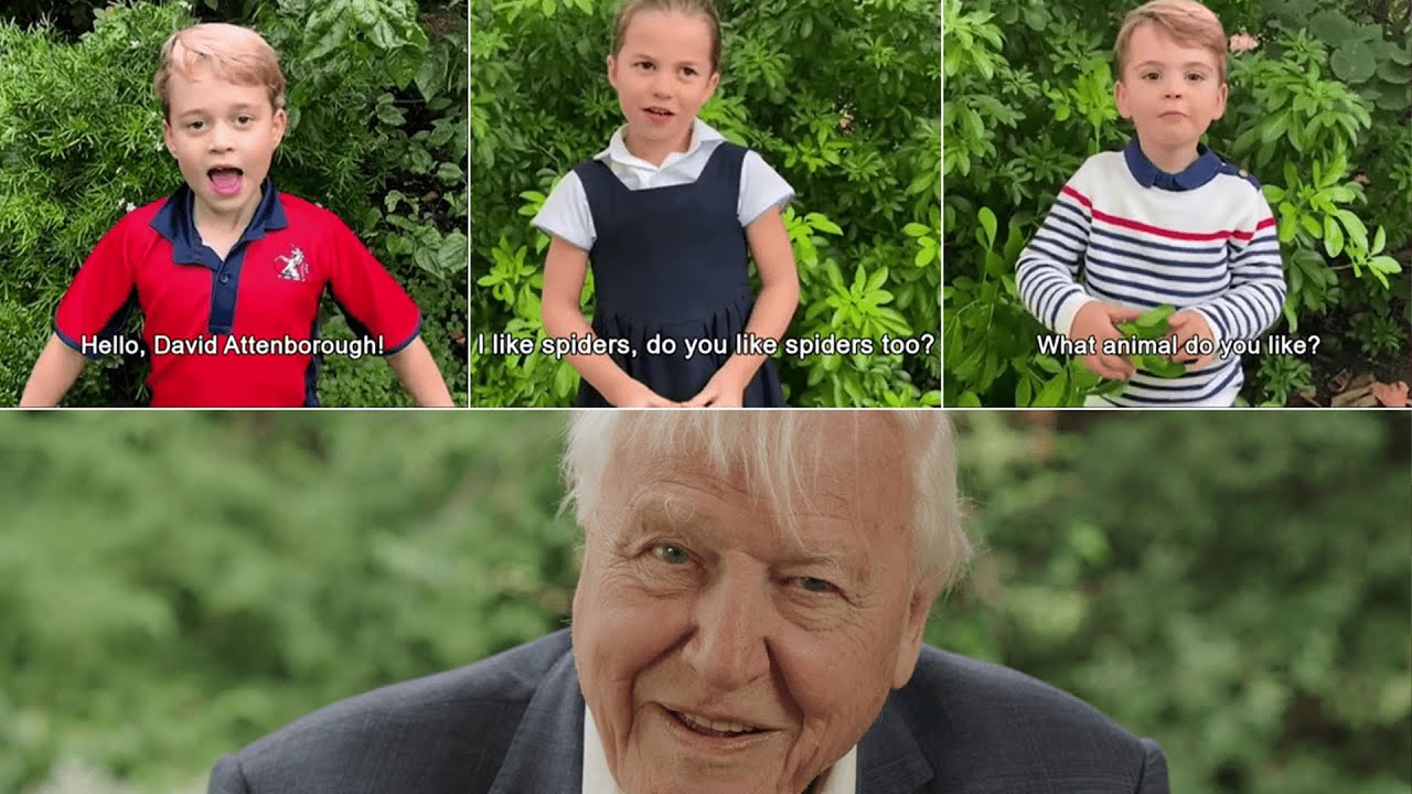 Princess Charlotte asks Sir David Attenborough if he likes spiders in new video
