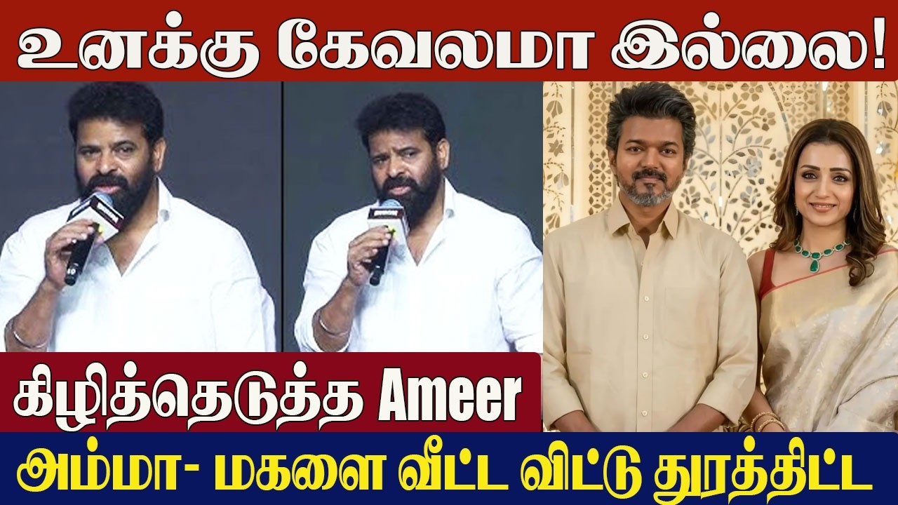 Thalapathy Vijay & Trisha Issue - Director Ameer Angry Reply 😡 On Vijay | Sangeetha Vijay Divorce