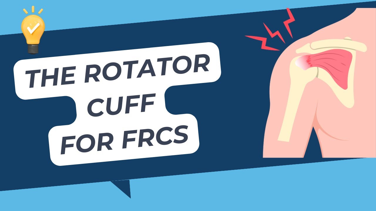 Мышцы вращательной манжеты плеча для ортопедического экзамена FRCS. Ортопедическая академия
