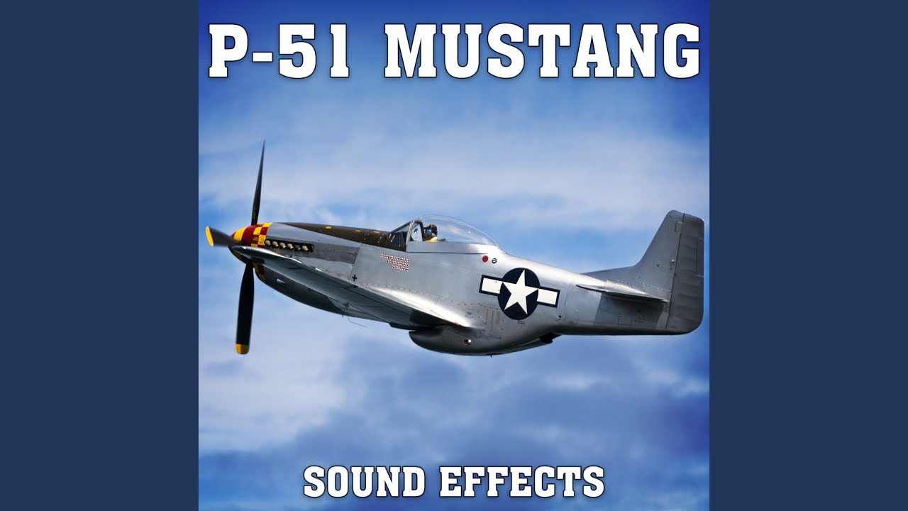P-51 Mustang: Fly By At Various Speeds