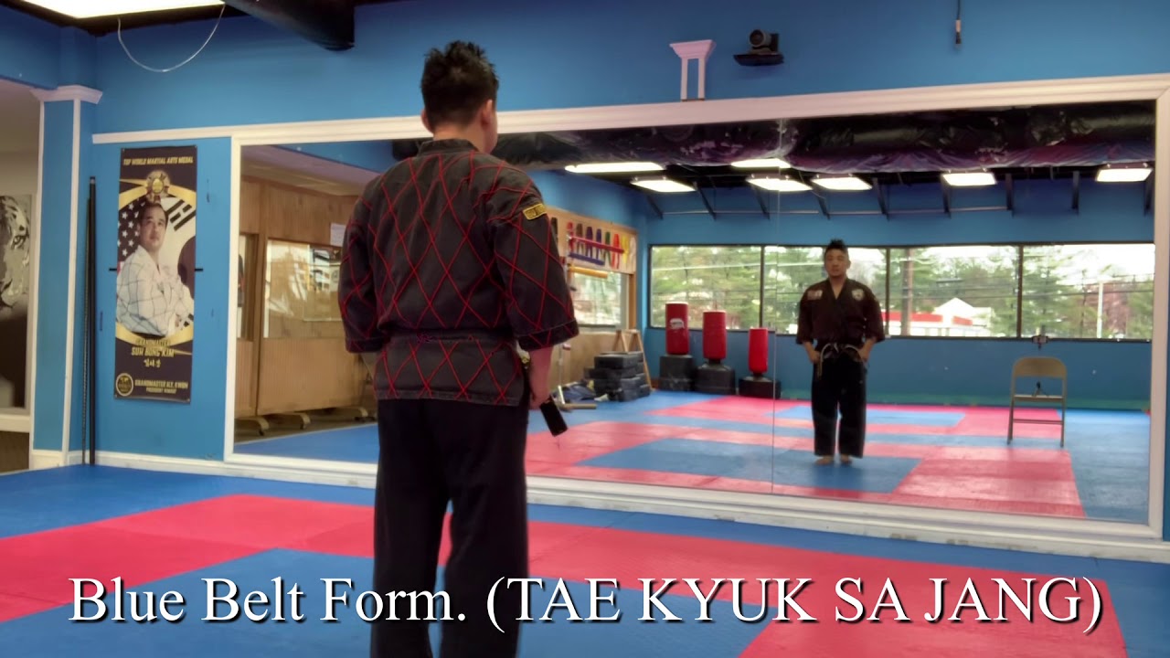 Blue belt form ( TAE KYUK SA JANG)