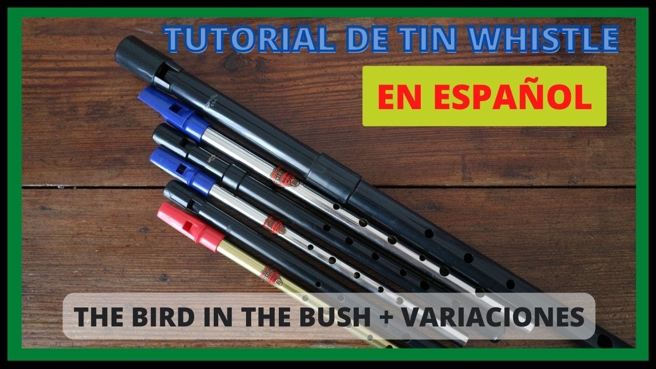Tutorial de TIN WHISTLE en español. The Bird in the Bush (reel) con variaciones.
