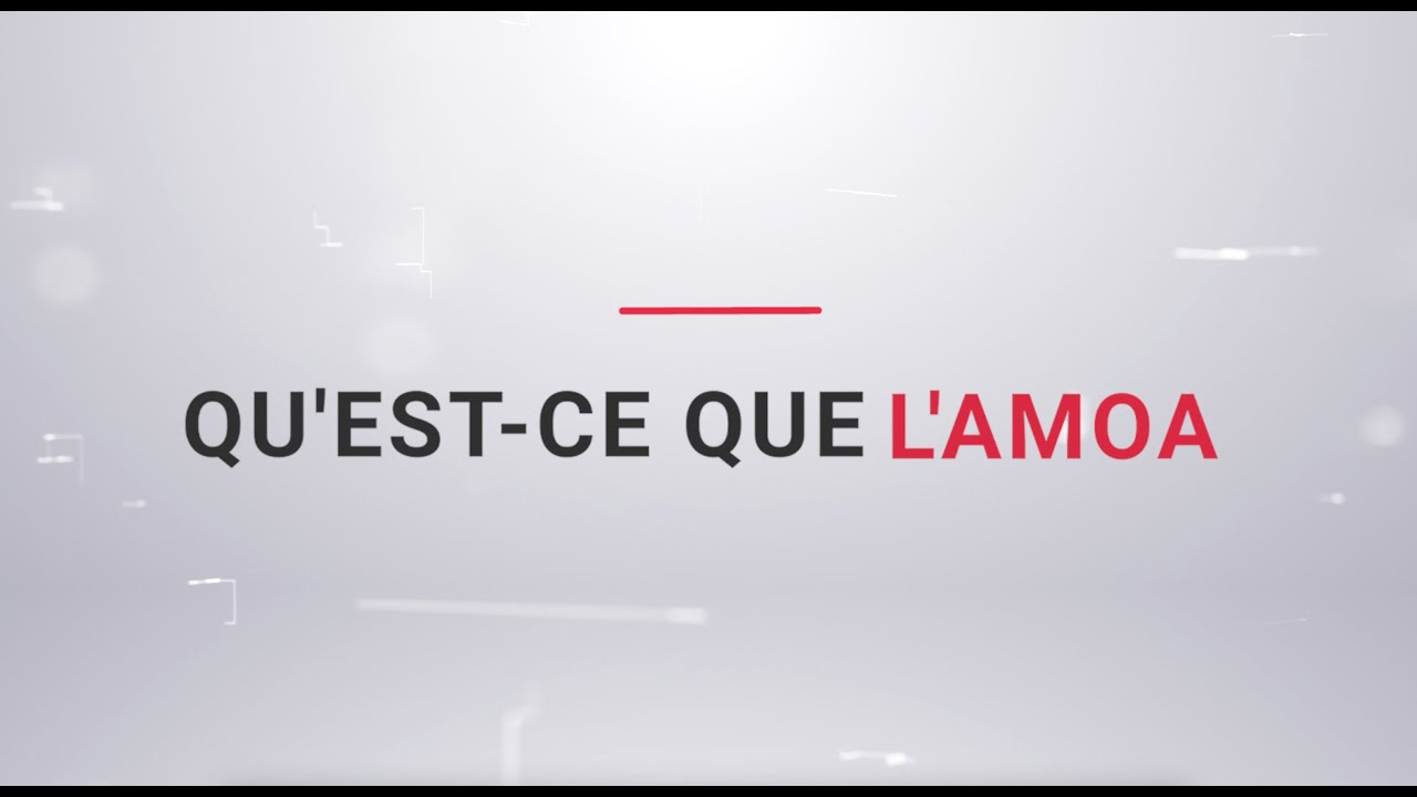 QU'EST-CE QUE L'AMOA ?