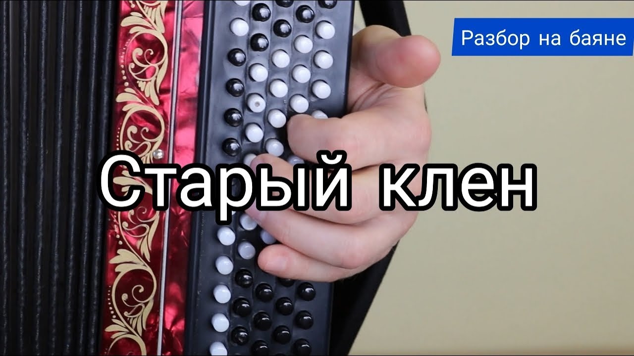 Старый клен. Разбор на баяне. #баянист_Евгений_Попов