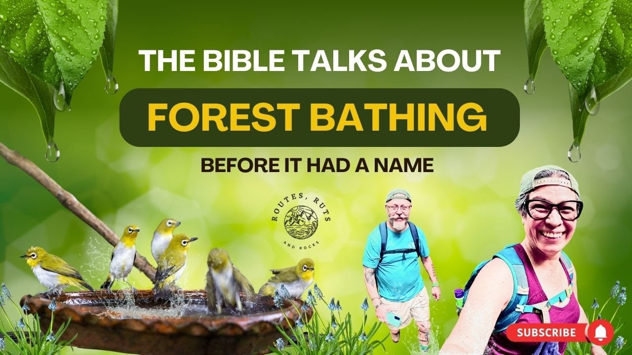 Why the Bible Talks About Forest Bathing -  Before It Had a Name