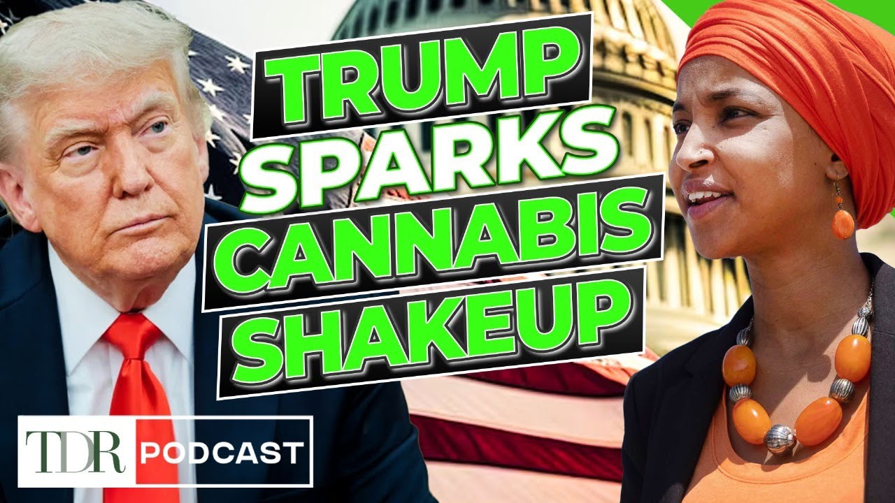 Congress Reacts to Trump&rsquo;s Cannabis Comments | TDR Cannabis in 5