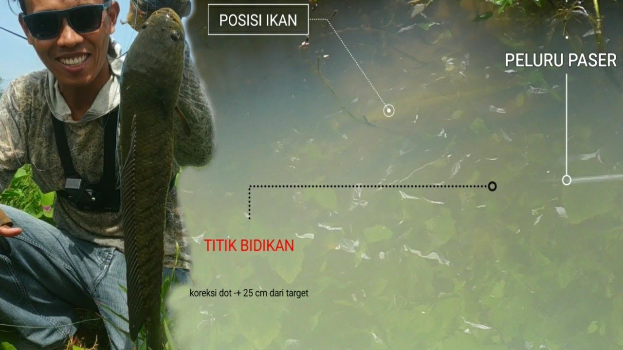 TAK ADA IKAN YANG LOLOS JIKA TAHU RUMUS INI‼️