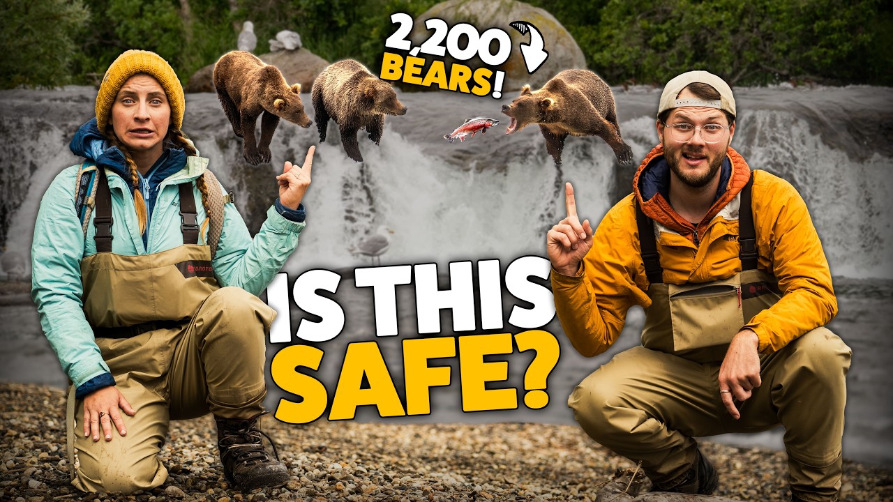 The World's Best Bear Experience: Camping with Brown Bears in Katmai National Park