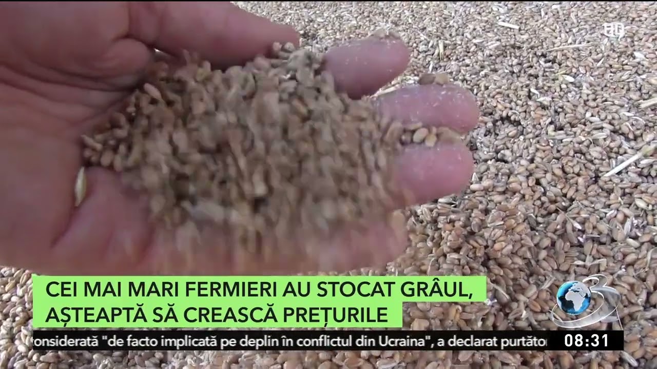 Un român a obţinut record la producţia de gâru cu soiul Anapurna