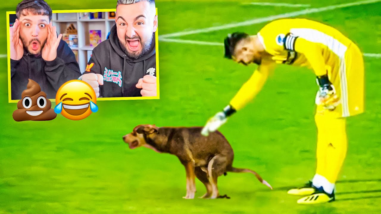 REACCIONANDO A MOMENTOS GRACIOSOS DE PERROS EN EL FUTBOL ft. Vitu