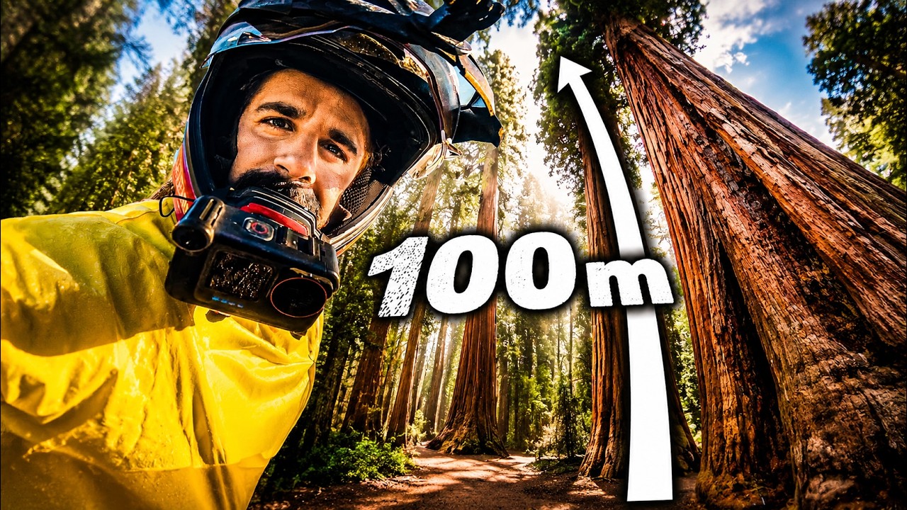 AS&Iacute; SON LOS &Aacute;RBOLES M&Aacute;S GRANDES DEL MUNDO 🌳 PARQUE NACIONAL SEQUOIA y YOSEMITE | Episodio 283