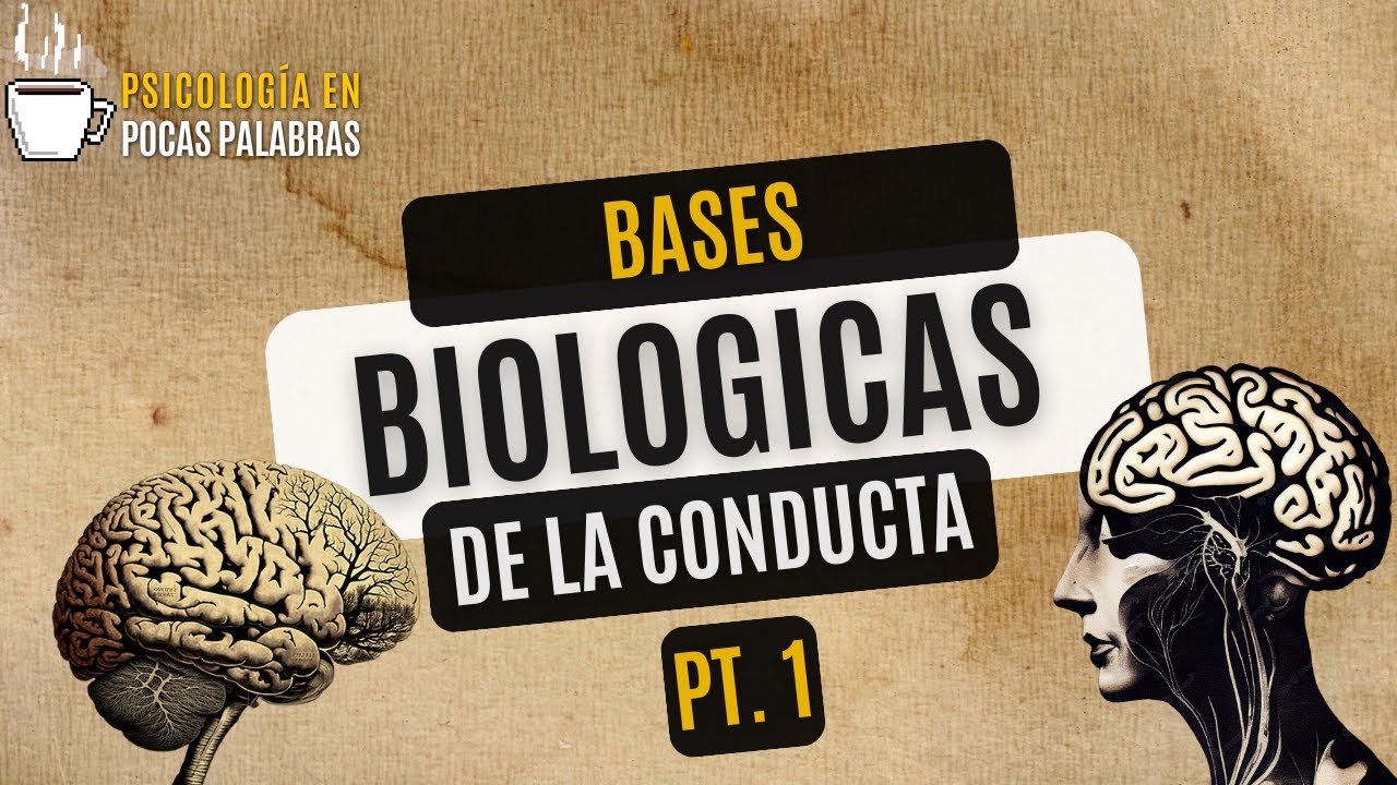 Sistema Nervioso (Bases Biológicas de la conducta, Parte 1)