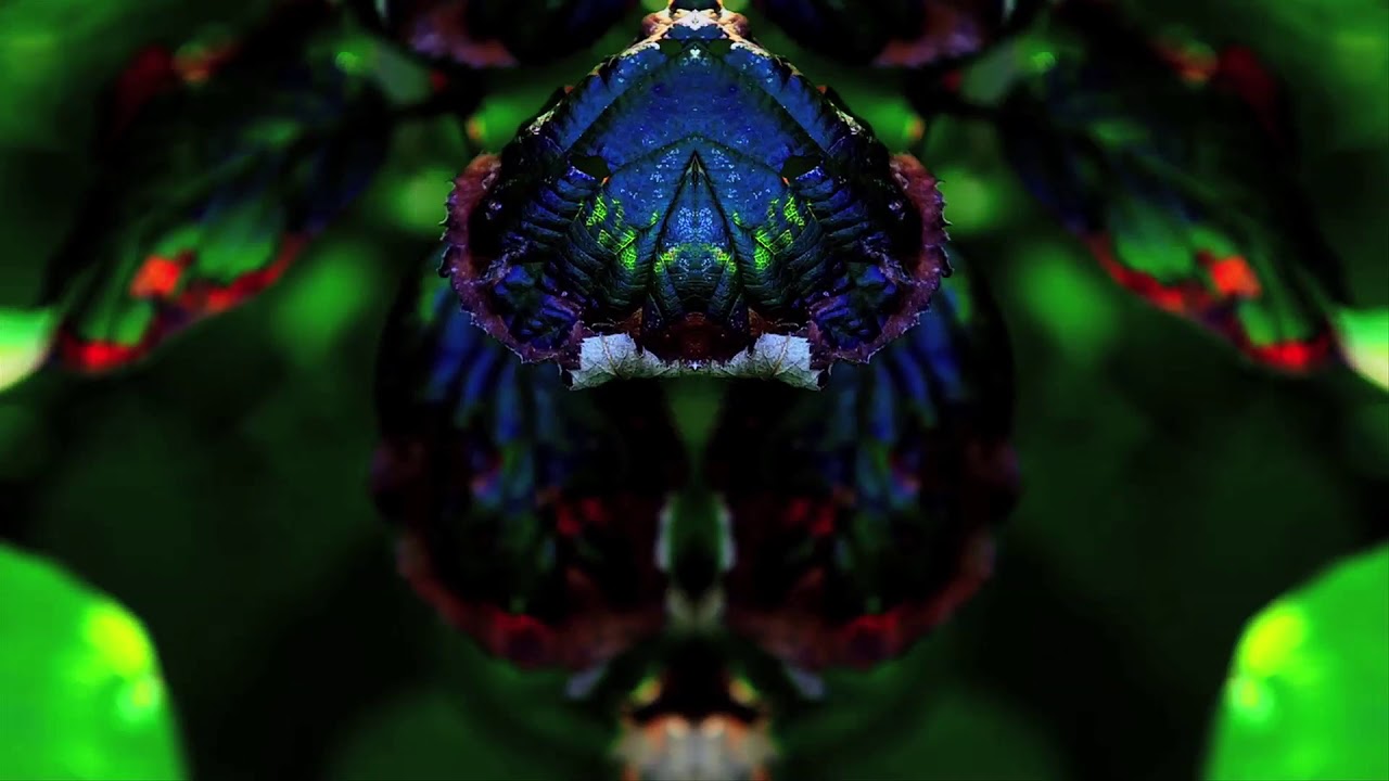 GOLEM - 5 Years Constelation (Official Video)
