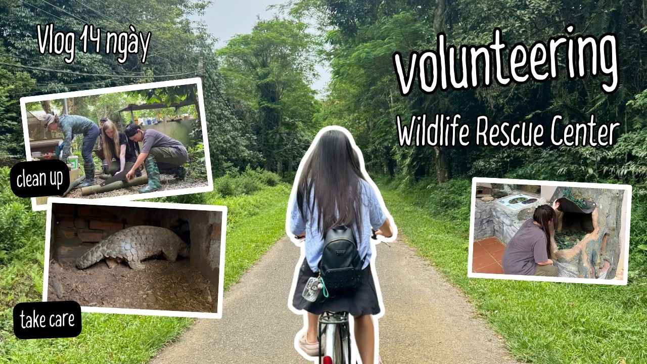 VOLUNTEERING VLOG | Nhật ký tình nguyện 14 ngày ở trong vườn quốc gia Cúc Phương