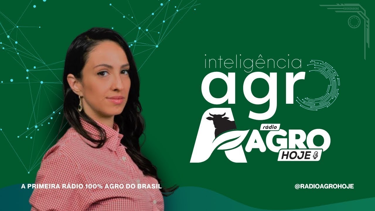 INTELIGÊNCIA AGRO - 20/02/2026