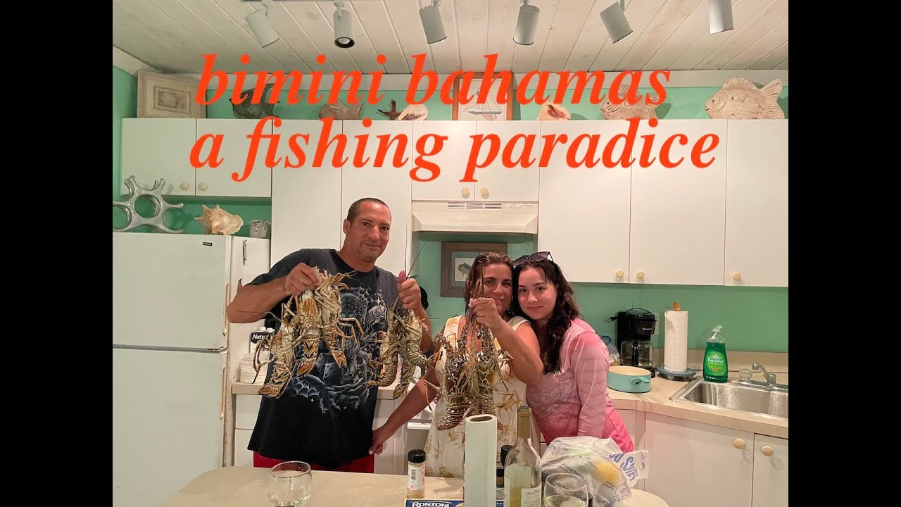 🦞🦞🦞🦞🦞 lobster fishing day🦞🦞🦞🦞🦞🦞EP-127