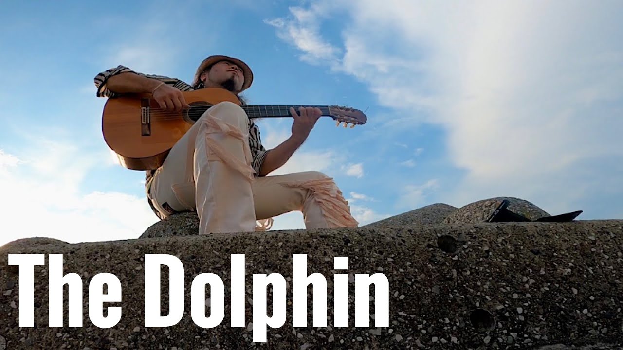 The Dolphin／Bill Evans／Arr. Nino Josele／Stan Getz／Flamenco Acoustic solo guitar／ドルフィン フラメンコギターソロ