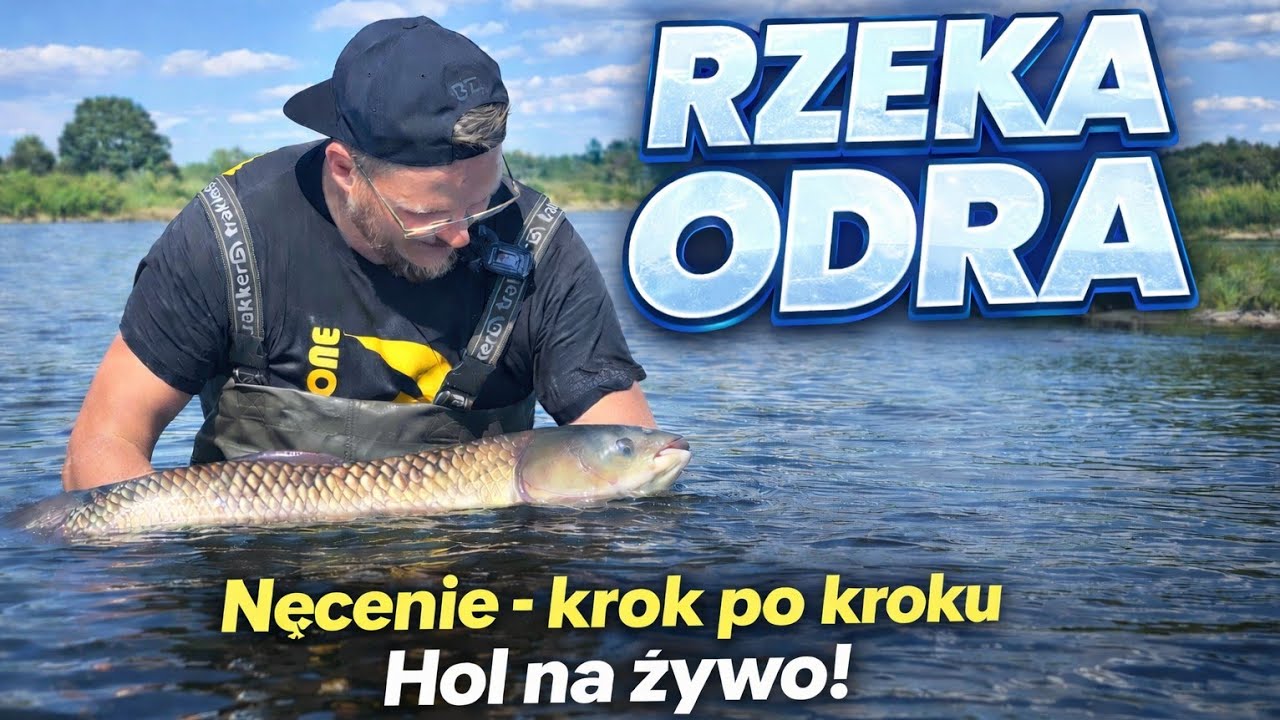 Karpiowanie na rzece Odrze ! Branie i hol amura na żywo ! Nęcenie krok, po kroku 