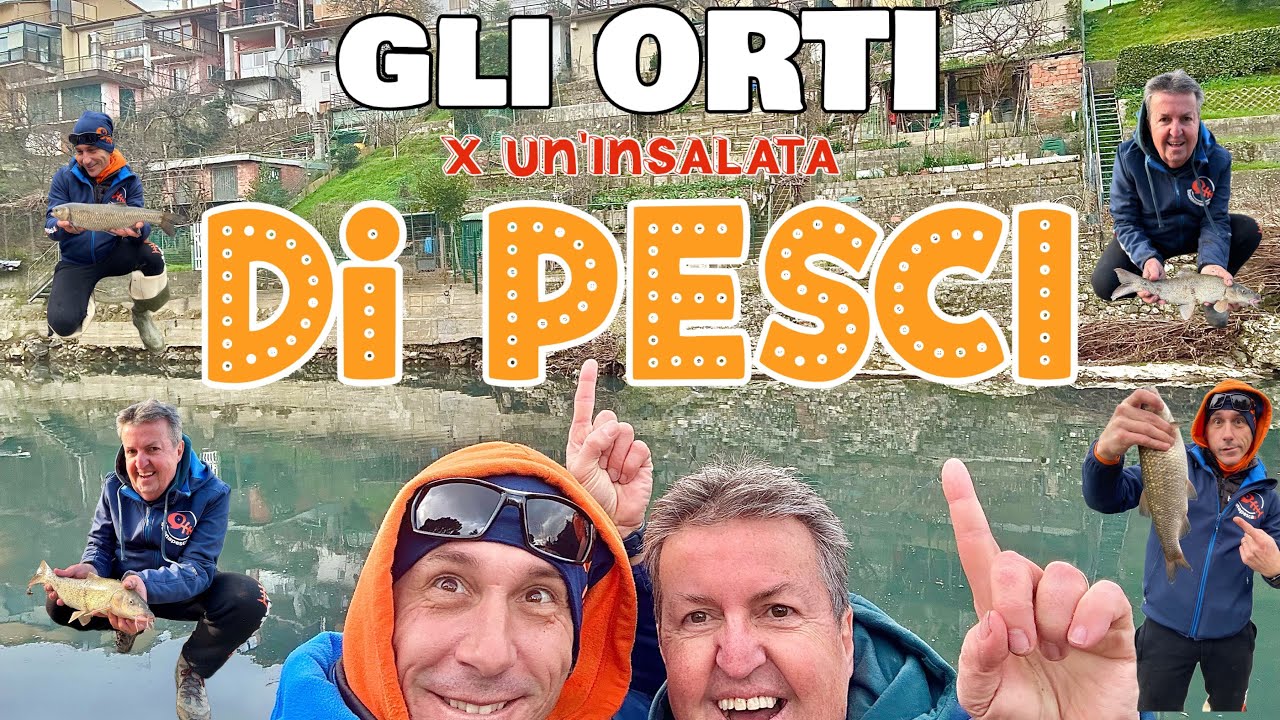 Un insalata di Pesci