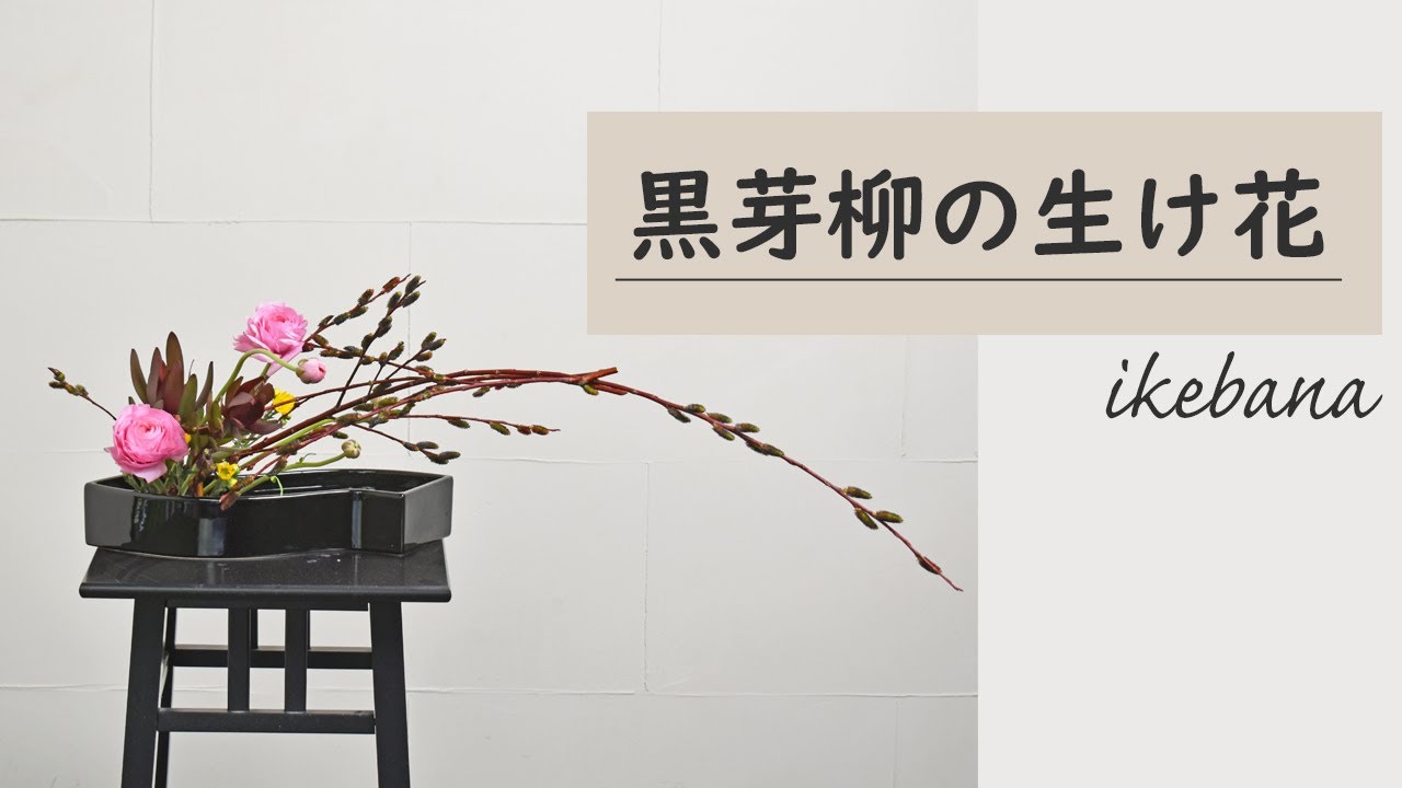 【黒芽柳の生け花】波型の花器にお花を生けてみたよ ネイティブフラワーとラナンキュラスを合わせて ikebana style class Japanese flower arrangement